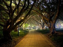 -江心屿景区