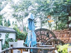 -慢丽江·云南野生菌土鸡锅(西山店)