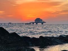 -烟台海昌鲸鲨海洋公园