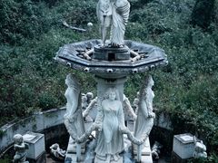 -百万葵园