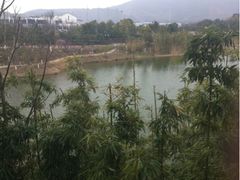 窗外美景2-苏州环秀晓筑养生度假村