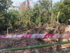 -神光山国家森林公园