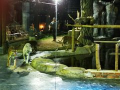 -清迈夜间动物园