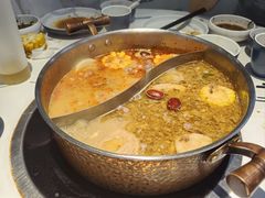 -濠七糟粕醋•海南酸汤火锅(中关村店)
