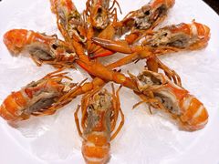 -红盔甲·小龙虾(人民广场店)