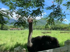 -阿飞冲浪旅店一馆