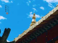 -罗布林卡