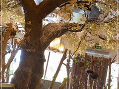 -冰城小镇音乐串吧·聚会餐厅(百子湾店)