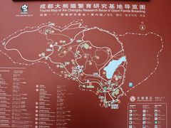 景点-成都大熊猫繁育研究基地