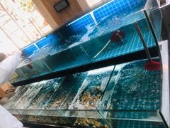 -佰园全日西餐厅-厦门佰翔软件园酒店