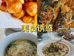 -蔓兰家的四季S0餐厅·融合菜(当代MOMA店)