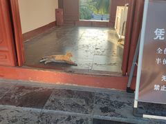 -正定古城-开元寺