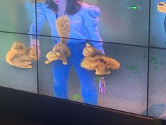 -哈尔滨规划展览馆