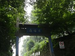 -龙井村