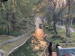 -北坞公园
