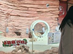 -正佳雨林生态植物园