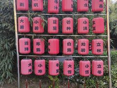 -中卫御苑福膳·养生局(圆明园店)