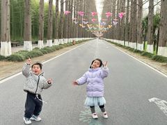 -黄海国家森林公园