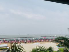 -碧海金沙