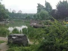 -丰台科技园生态主题公园