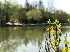 -新江湾城公园
