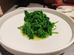 素炒豌豆尖-柿合缘新京菜(国金中心商场店)