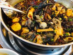 -黑竹香鸡(营和巷店)