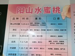 -老袁家蜜桃农场·阳山水蜜桃