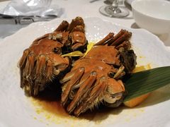 -南麓·浙里(外滩店)