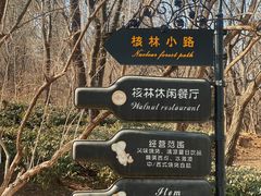 -北京张裕爱斐堡酒庄
