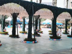 -海合安成都极地海洋公园