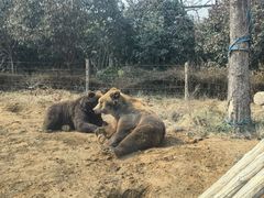 -郑州银基黄帝宫御温泉