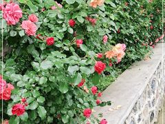 -大连植物园