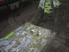 -南越王博物院(王宫展区)