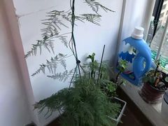 -美睦爱家·高端月嫂·育儿嫂·保姆家政服务