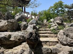 -莲花池公园