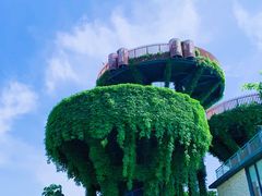 -芒洲湿地公园