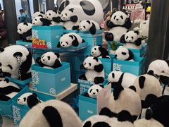 -熊猫屋(宽窄巷子景区店)