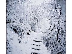 -九峰山