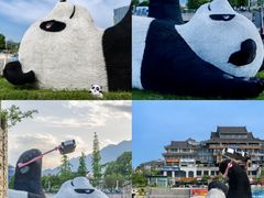 -青城甲(青城山店)