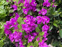 -三旗百汇商品城