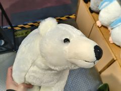 -广州热雪奇迹