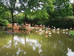 -上海野生动物园