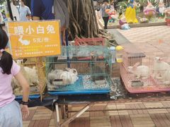 -东风公园
