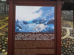 -紫鹊界梯田景区