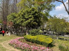 -玄武湖景区-情侣园游乐场