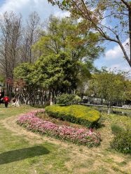 -玄武湖景区-情侣园游乐场