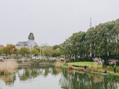 -美兰湖景区