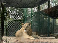 -上海野生动物园