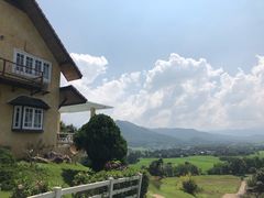 -黄色小屋